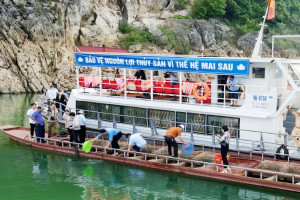 VBS in Hoa Binh releases live fish in Da River