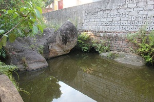 Unique stone worshipping