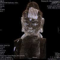 Scripture found inside Buddha statue's head