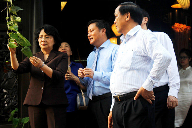 State Vice President offered incense to the Queen of silkworm in Hoi An