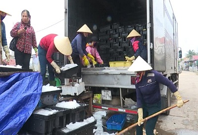 Health insurance cards granted to Catholics affected by marine environmental incident in Quang Binh