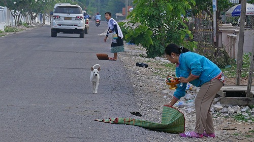 Alms giving ceremony in Laos