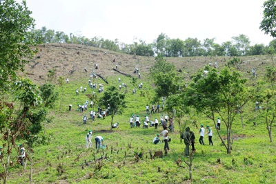 Religions in Dong Nai actively respond to environmental protection call