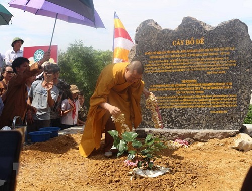 Sri Lanka’s Bodhi tree planted at Tam Chuc Pagoda