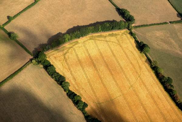 Heatwave reveals hidden archaeological sites across Britain's countryside