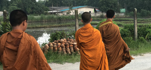 Buddhist “Eco-monks” Work to Protect Thailand’s Environment