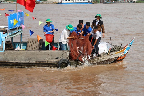 Hoa Hao Buddhist Church  releases over 7.6 tons of live fish into river