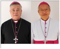 Pope announces establishment of new diocese and appointments of bishops in Vietnam