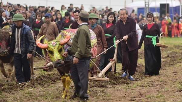 Deputy PM Trương Hòa Bình attends re-enacted field ploughing festival