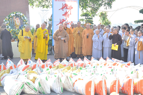 200 tons of fish released into river by Buddhists in Tien Giang