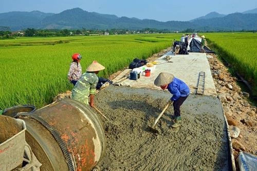 Catholic people in Quang Binh proactively engage in social works