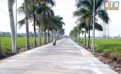 Catholic parish in Thai Binh makes practical contributions for rural development