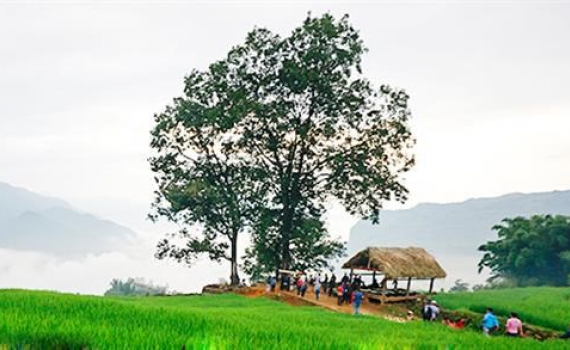 Kho Gia Gia Festival of Ha Nhi ethnic group in Lao Cai’s highland