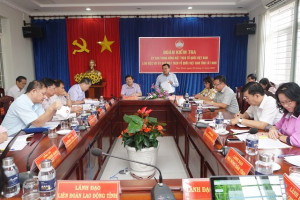 VFF leader inspects front work in Tay Ninh