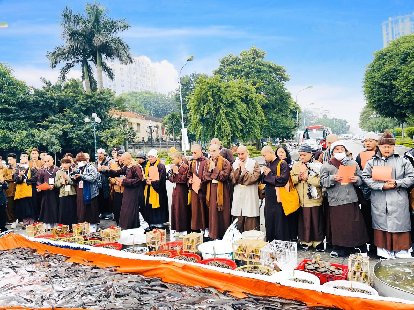 Buddhist high school in Ben Tre releases fishes and birds in Hanoi