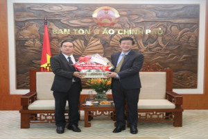 Religious organizations extend Tet greetings to Government Religious Committee