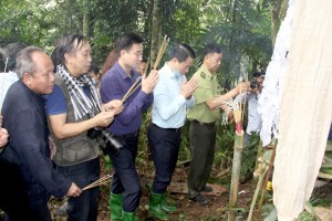 Tet rung festival of Mong ethnic people in Yen Bai