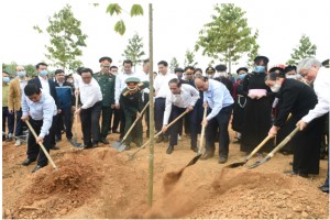 Project set to grow at least 1 billion trees in Vietnam 