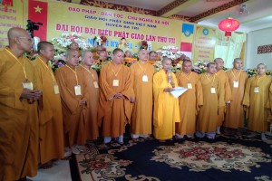 General meetings of district-level VBS in Ben Tre and Gia Lai provinces 