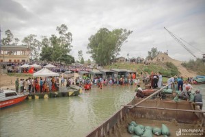 Vien Quang pagoda in Nghe An releases over 10 tons of fish to Lam River 