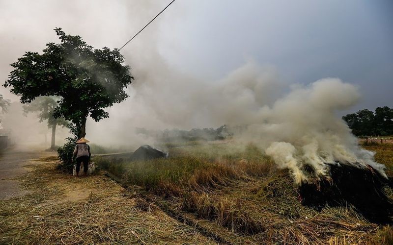 World Environment Day 2021 stresses importance on ecosystem restoration