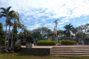 Catholics in Dong Nai actively join environment protection