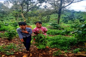 Ethnic minorities in Lam Dong send local agricultural products to people in Ho Chi Minh City