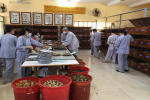 Vietnam Association of Pure-land Lay Buddhists and medical charities