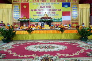 District-level Buddhist congress held in Ben Tre