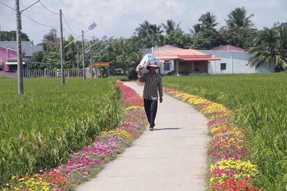 Khmer Theravada Buddhism in Soc Trang proactively joins environmental protection