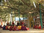 As one family, Christians and Buddhists meet in Bodh Gaya, India