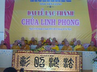 Tien Giang province: Linh Phong pagoda inaugurates its main worshipping hall