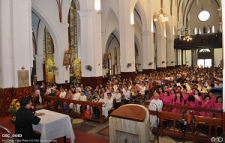 Hanoi Archdiocese organizes pilgrimage day for Jubilee Year of Mercy