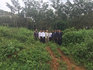 ECVN (South)’s delegation visited Protestant churches in Dak Nong