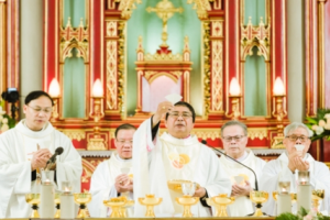 New Bishop of Hai Phong diocese takes office