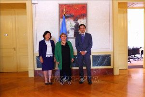 Vietnam contributes to dialogue and co-operation in UNHRC’s activities