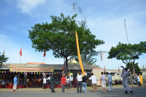 Fishing festival held in Da Nang bay