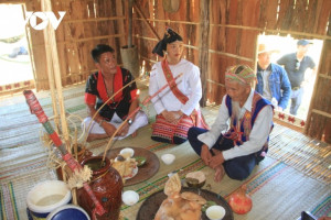 Binh Dinh province preserves ethnic cultures