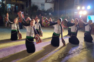 Vietnamese cultural heritage week to promote national solidarity