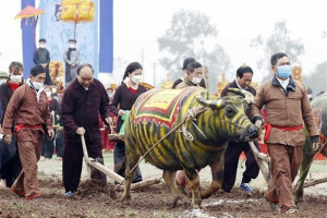 President attends ploughing festival in Ha Nam