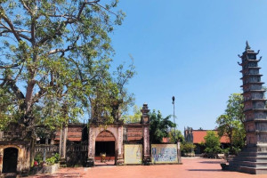 Hai Phong expedites issuance of land use right certificates to religious and belief establishments