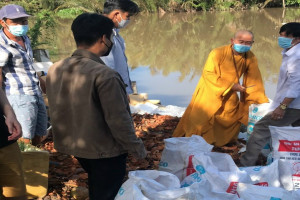 Pagodas in Tien Giang release fish into rivers to pray for peace