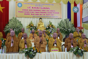 Training course for management of Buddhist pagodas held in Ben Tre