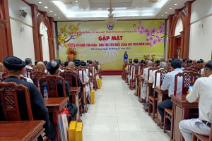 Provincial authorities in Tien Giang honors social contributions of local religious organizations