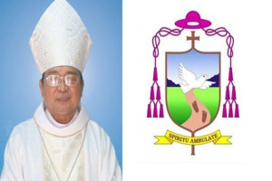 Pope Francis appoints new Bishop of Hai Phong diocese