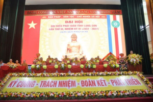 Provincial-level VBS congress held in Lang Son, Quang Ngai and Ninh Thuan