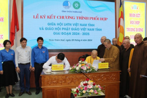Provincial VBS, Youth Union in Thua Thien Hue enhance collaboration